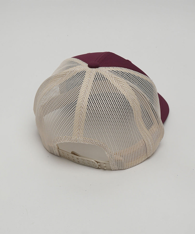Ferris Wheel Cap