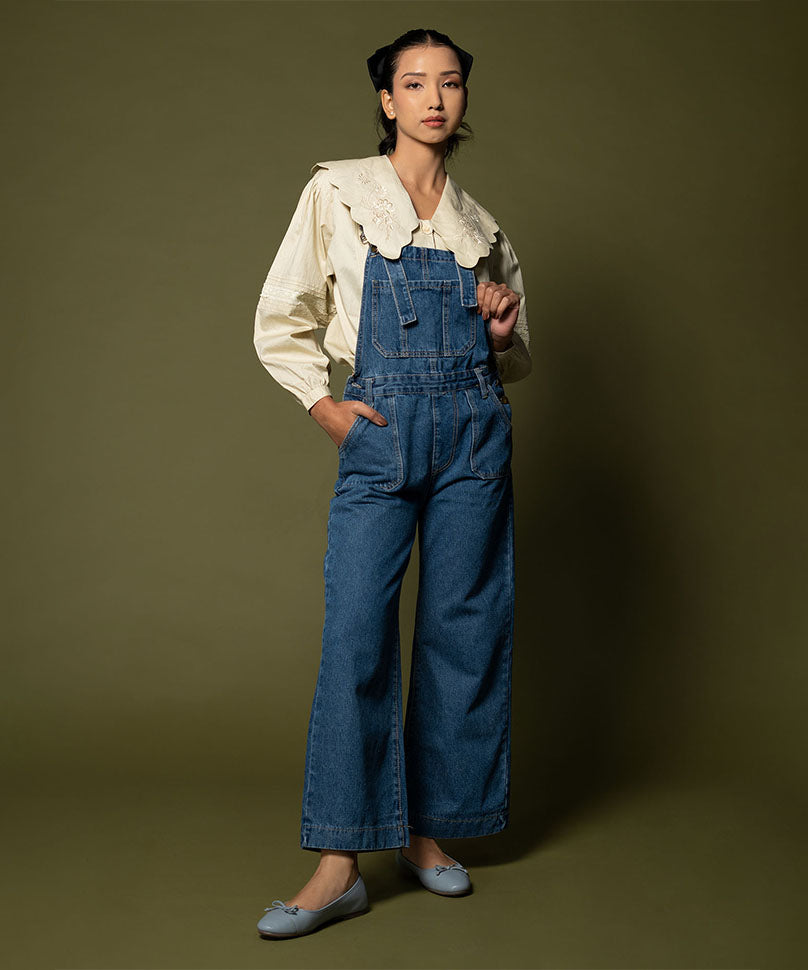 Swans Blue
