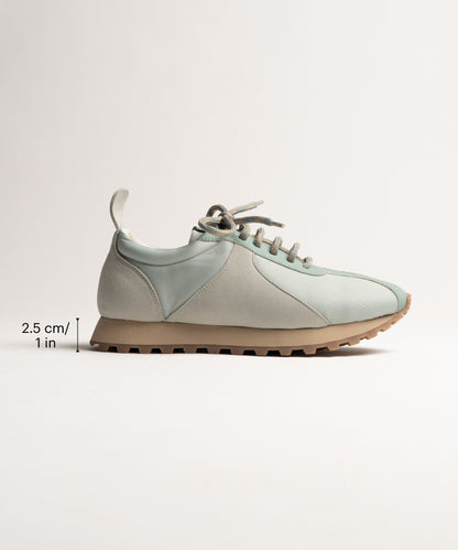 Seoul Teal