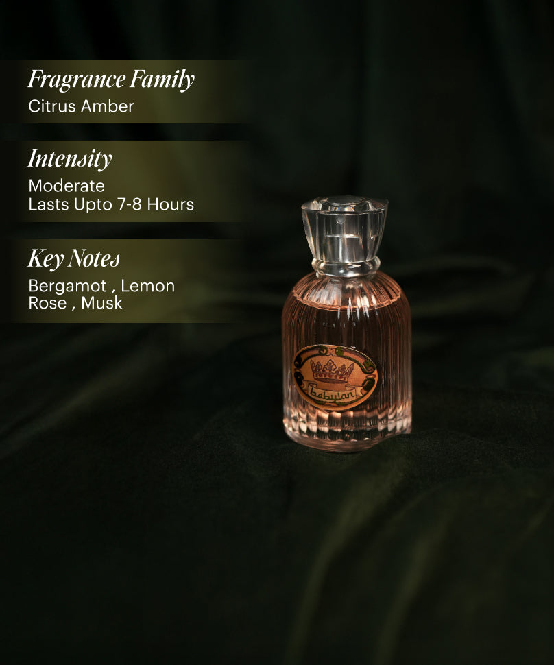 Babylon Eau De Parfum 50ml